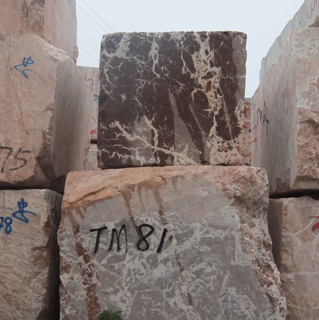 The Rare Table Collection